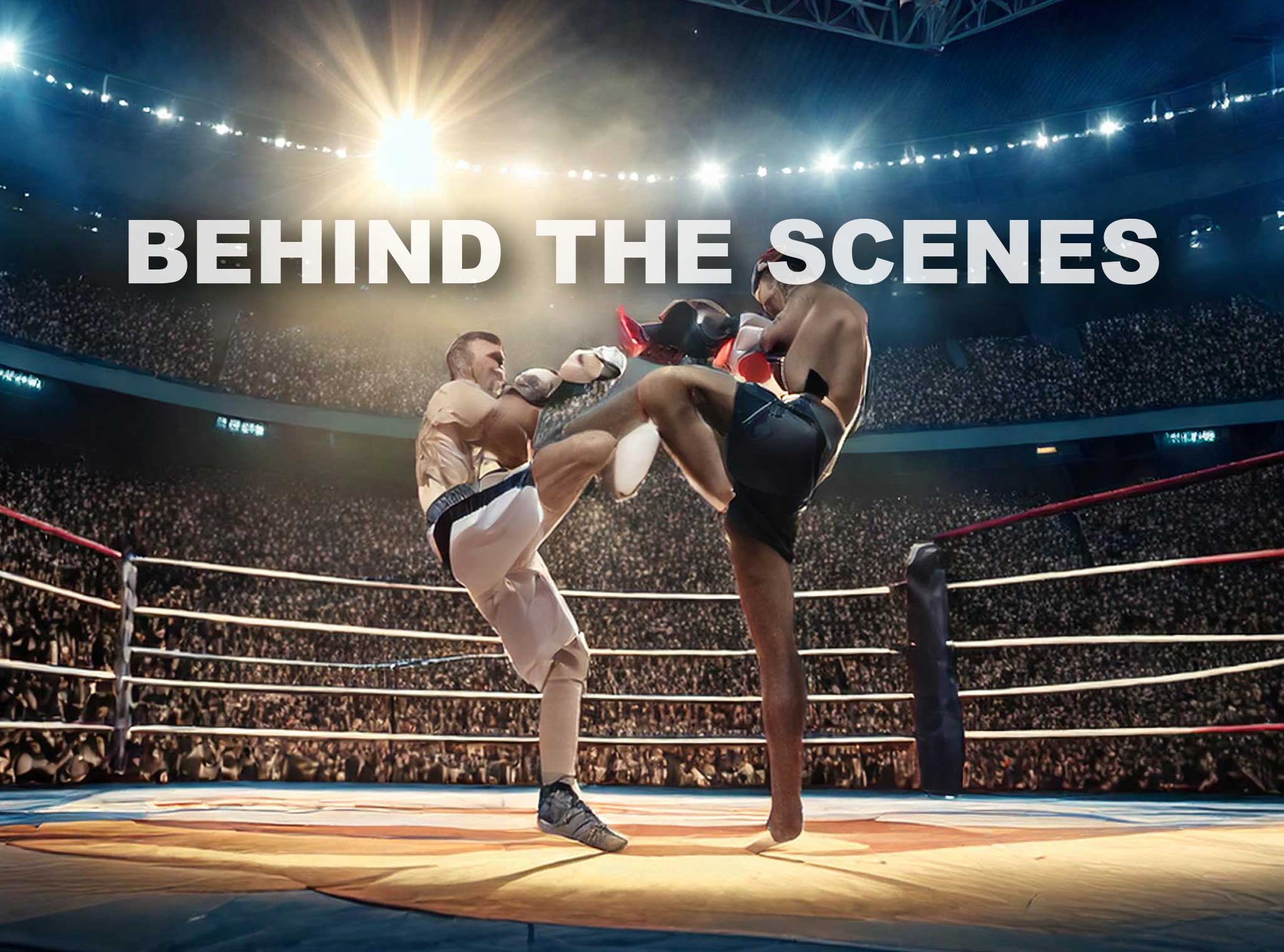 RINGS Fighting Network